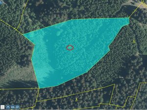 Huslenky - přehledka zoom