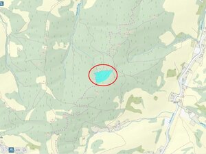 Huslenky - přehledka