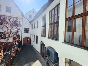 20250319_123555_resized